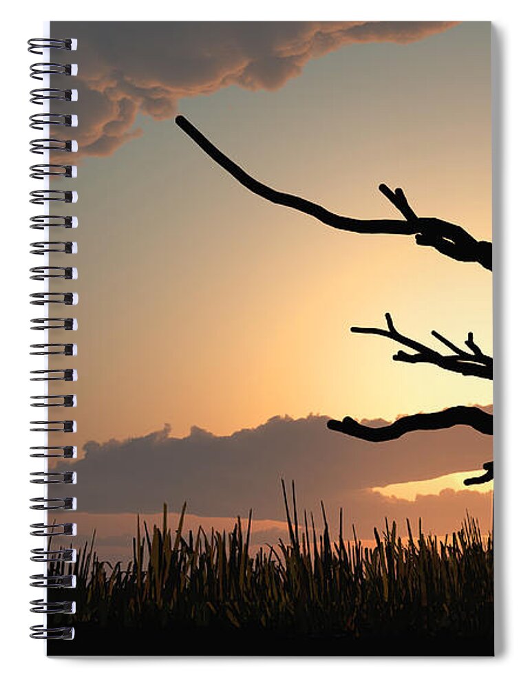 Trees Spiral Notebook featuring the photograph Silhouette by Bob Orsillo
