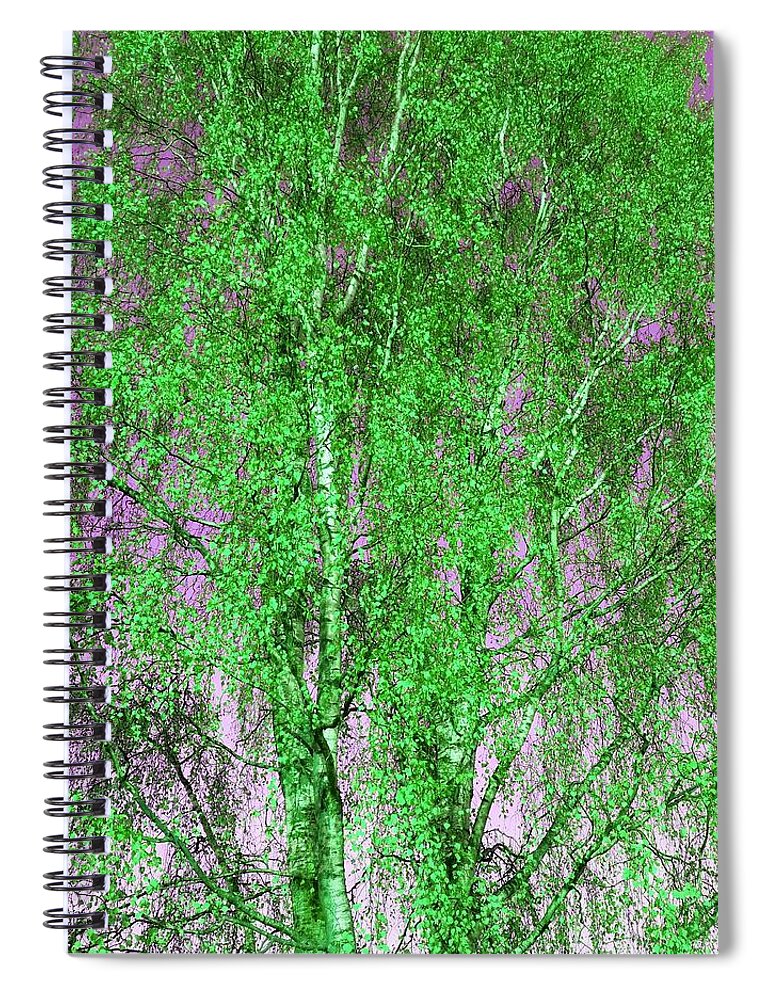 Silverbirch Spiral Notebook featuring the photograph Silver Birch in Green by Rowena Tutty