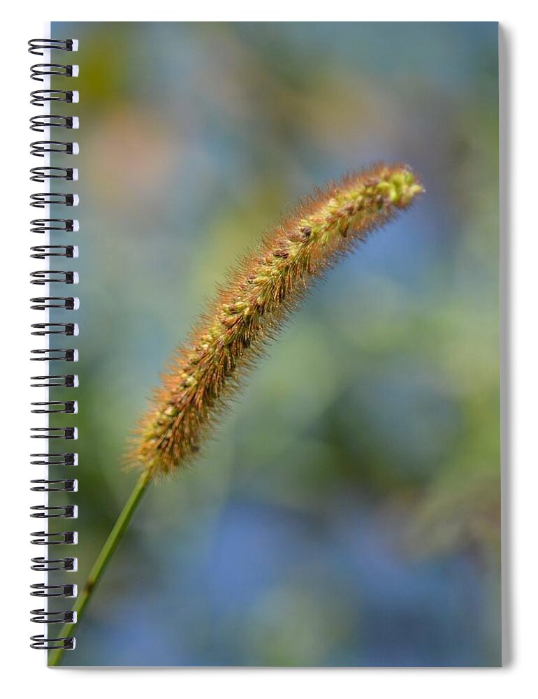 Simple Beauty Spiral Notebook featuring the photograph Simple Beauty by Maria Urso