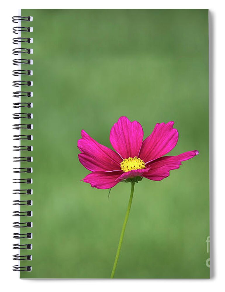 Flower Spiral Notebook featuring the photograph Simplicity by Andrea Silies