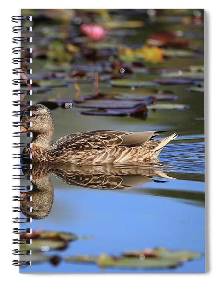Simplicity In Nature Spiral Notebook featuring the photograph Simplicity in Nature by Lynn Hopwood