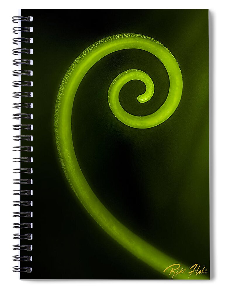 Plant Spiral Notebook featuring the photograph Simplicity Nature's Fibonacci by Rikk Flohr
