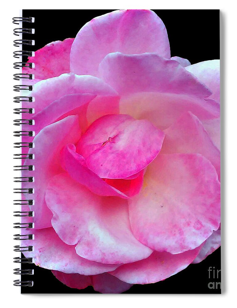 Rose Spiral Notebook featuring the photograph Simply And Pink by Jasna Dragun