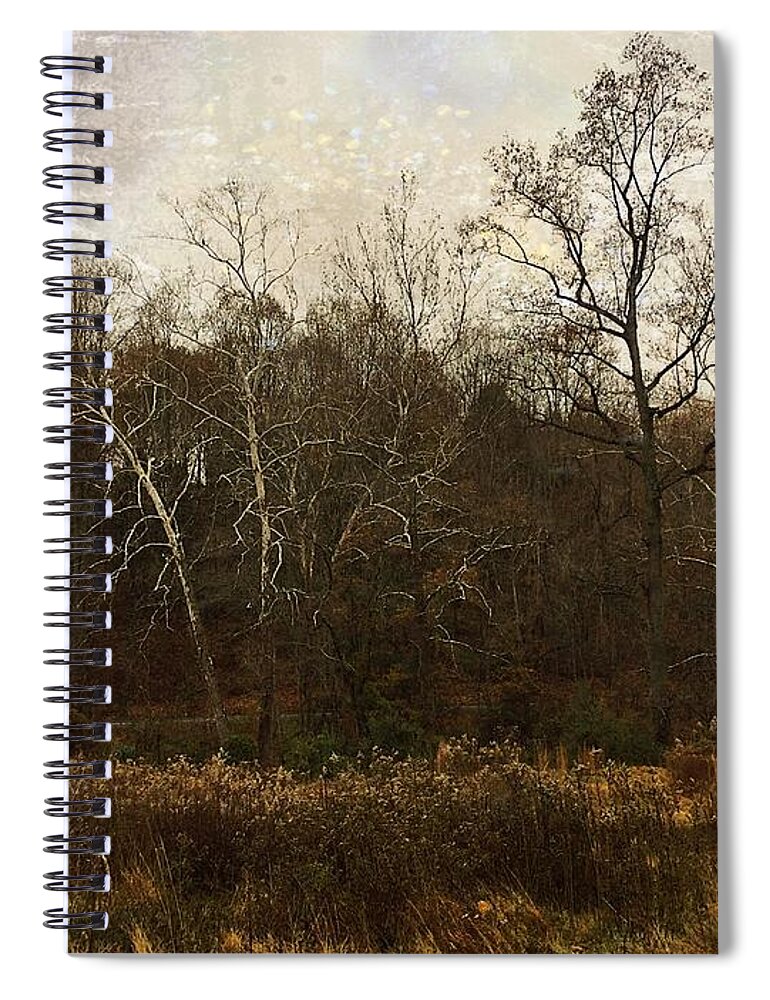 Fall Spiral Notebook featuring the photograph Sing to me autumn by Delona Seserman