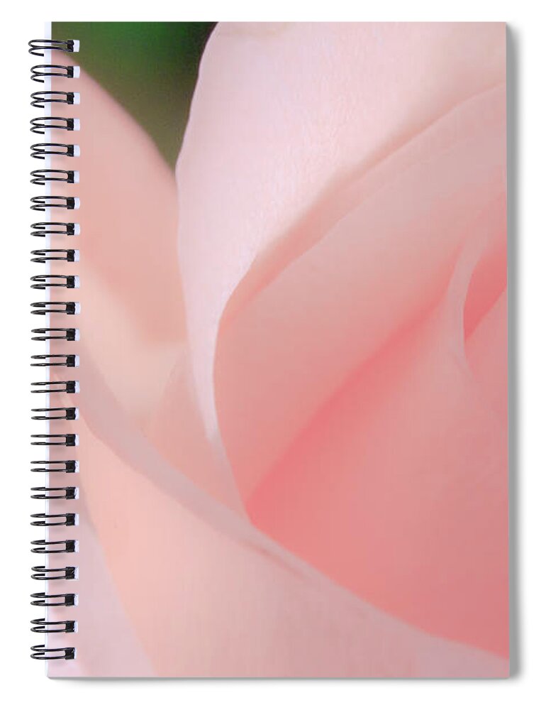 Beautiful Spiral Notebook featuring the photograph Singular Beautiful Pink Rose by Joni Eskridge