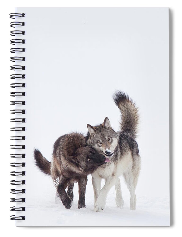 Travel Spiral Notebook featuring the photograph Sisters by Eilish Palmer