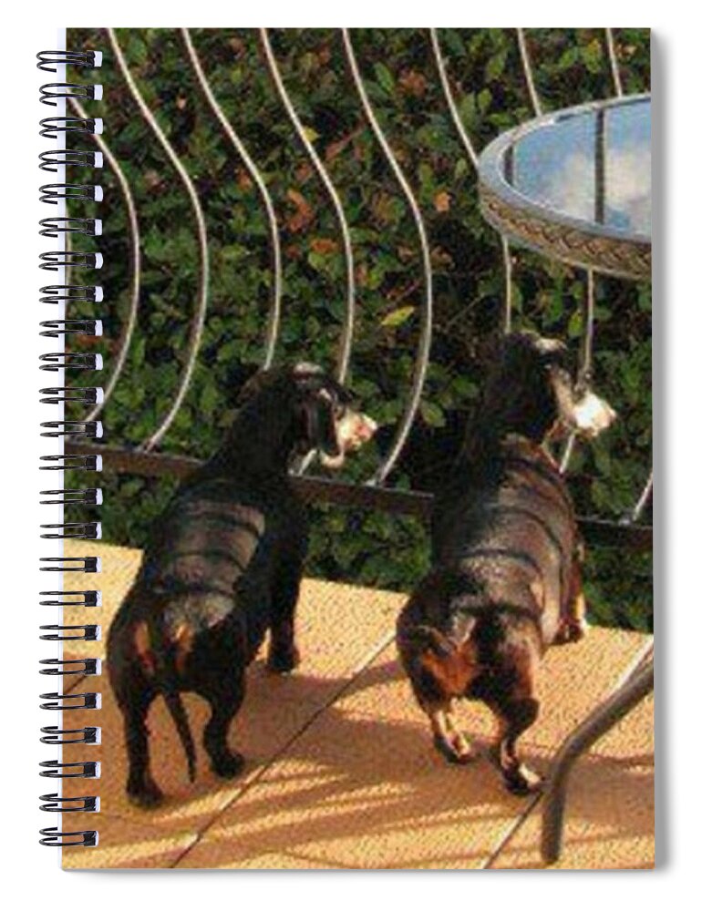 Dog Spiral Notebook featuring the photograph The Watch Girls by Rowena Tutty