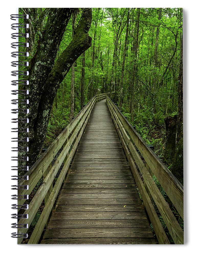 Path Spiral Notebook featuring the photograph Six Mile Boardwalk - Portrait by Ron Pate