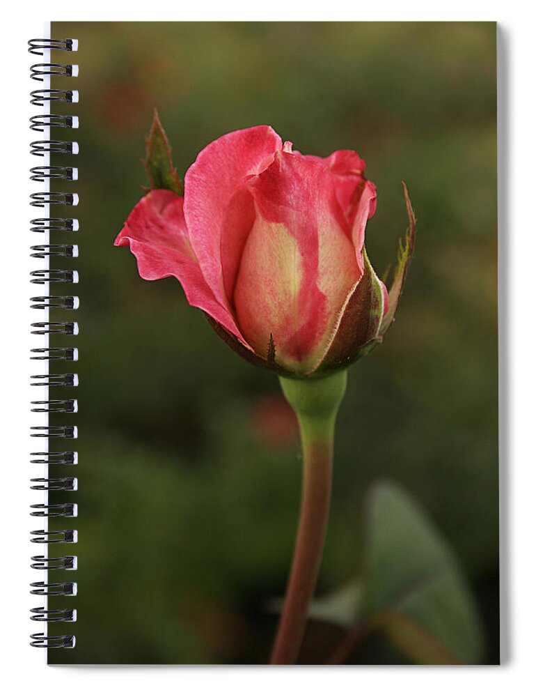 Elegant Spiral Notebook featuring the photograph SKC 0423 An Elegant Blossom by Sunil Kapadia