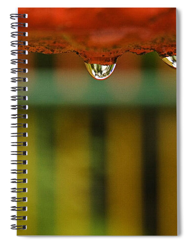 Drop Spiral Notebook featuring the photograph SKC 3263 Will they drop? by Sunil Kapadia