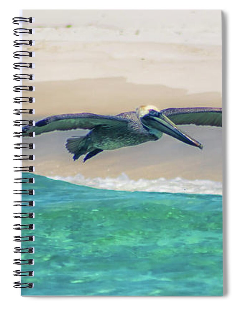 Florida Pelican Spiral Notebook featuring the photograph Skimming The Shore by Debra Forand