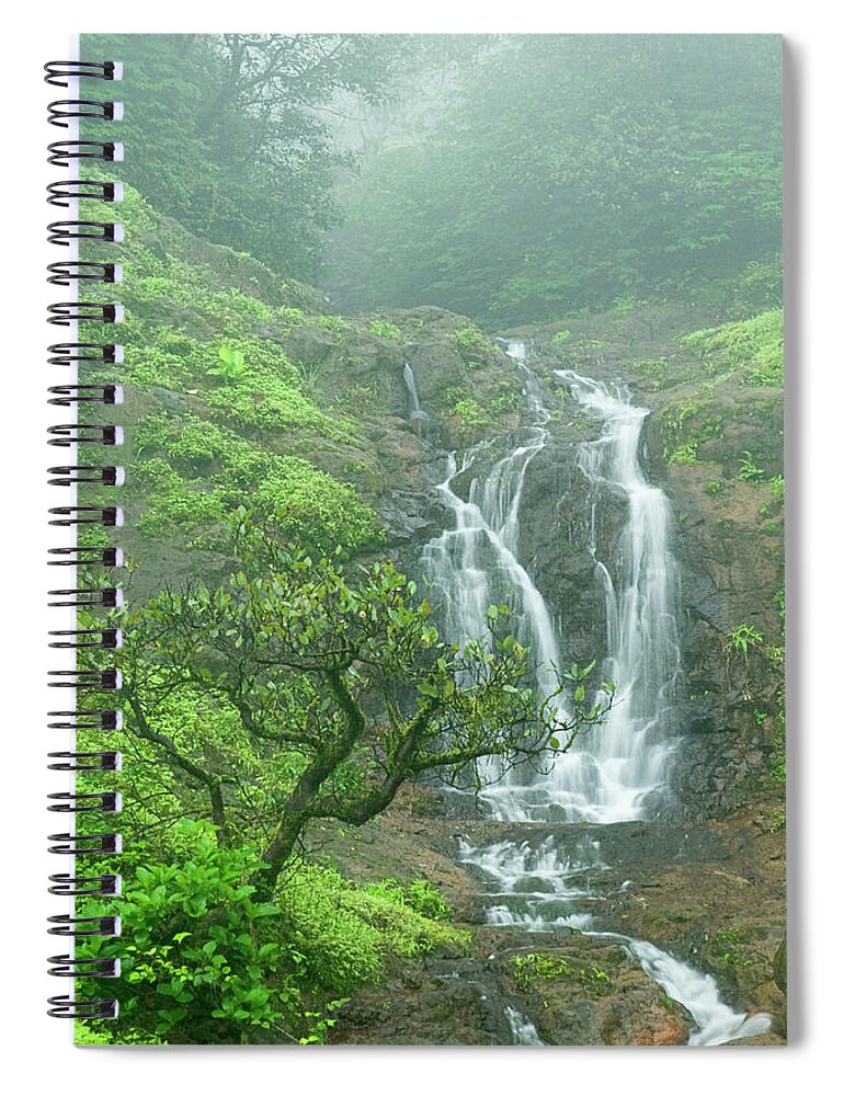 Admiration Spiral Notebook featuring the photograph SKN 3758 Admiring Your Beauty by Sunil Kapadia