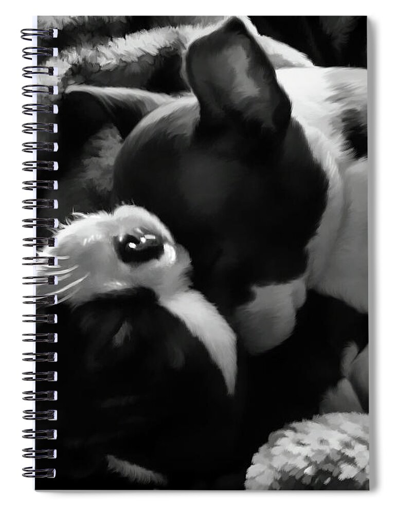 Sleeping Beauties Spiral Notebook featuring the painting Sleeping Beauties - Boston Terriers by Jordan Blackstone