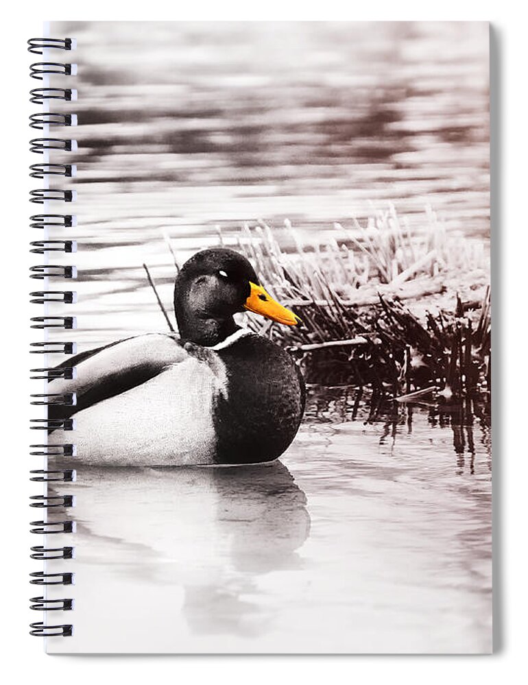 Duck Spiral Notebook featuring the photograph Sleeping Duck by Jaroslav Buna
