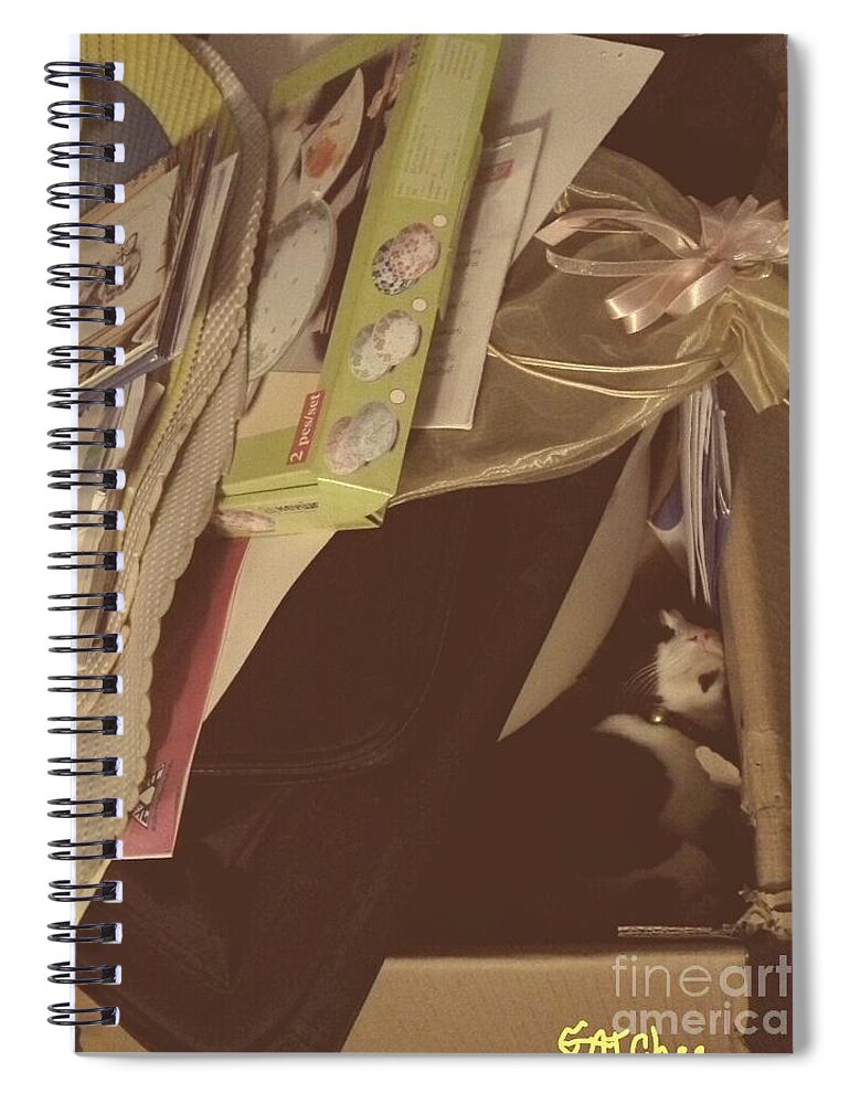 Cat Spiral Notebook featuring the photograph Sleeping with Things by Sukalya Chearanantana