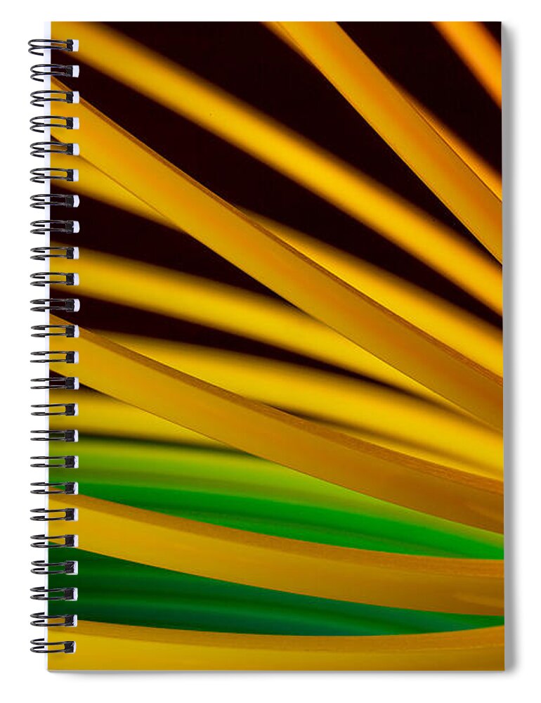 Slinky Spiral Notebook featuring the photograph Slinky IV by Bob Cournoyer