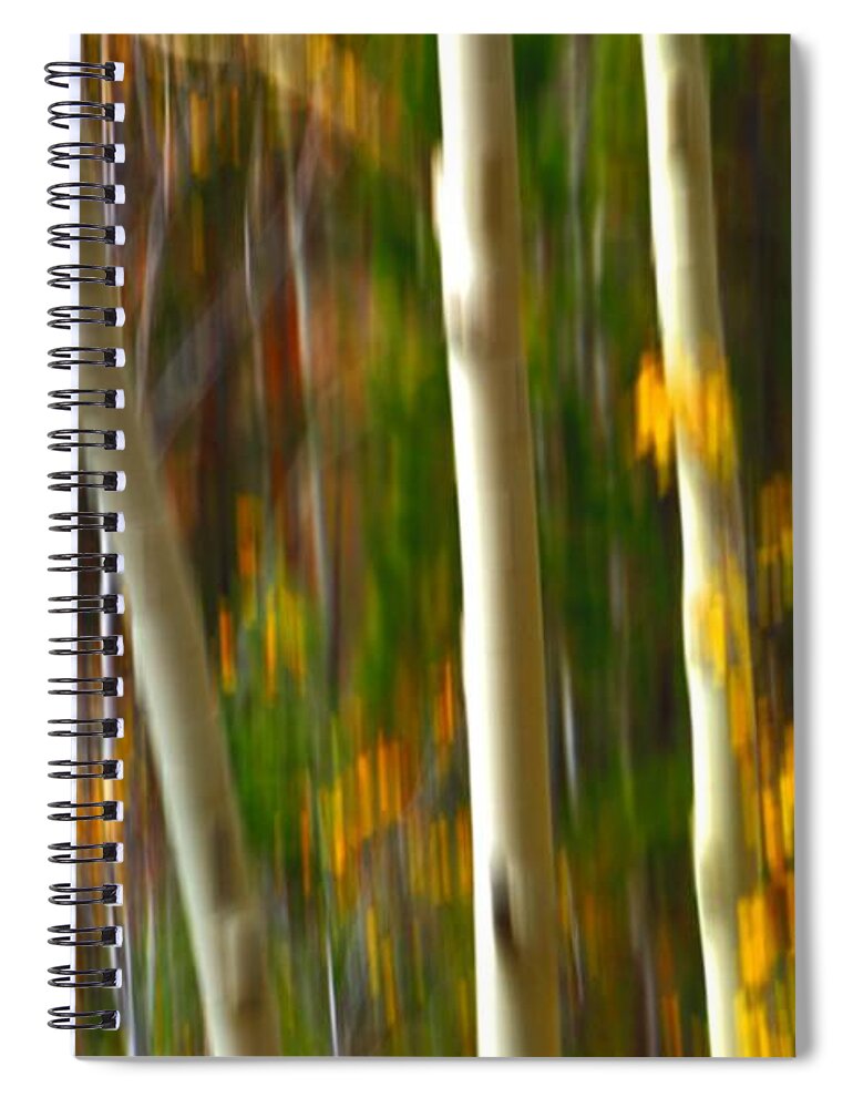 Fall Spiral Notebook featuring the photograph Slipping Through by Mark Ross