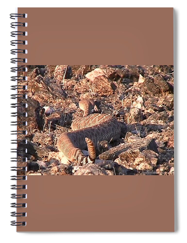  Desert Southwest Spiral Notebook featuring the photograph Slithering Away with Tail Held High by Judy Kennedy