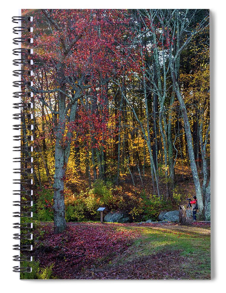 Grist Mill Spiral Notebook featuring the photograph Small Among the Trees by Jack Peterson