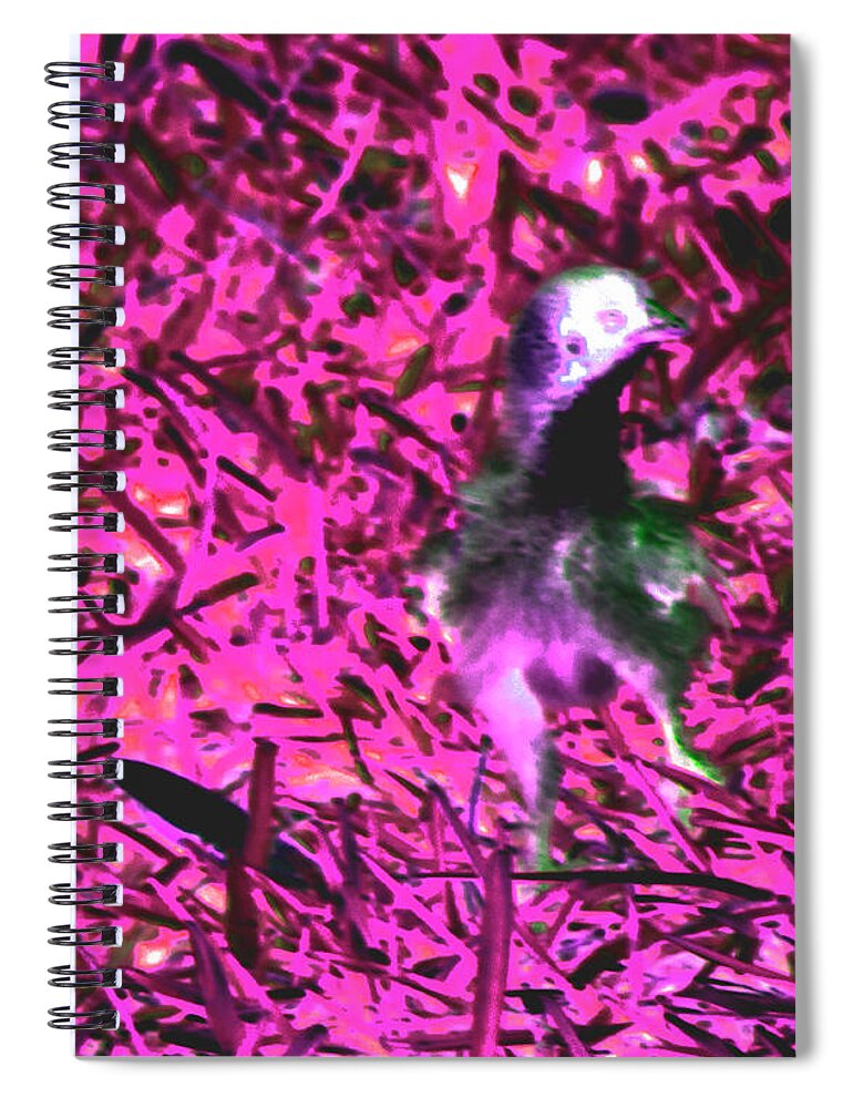 Abstract Spiral Notebook featuring the photograph Small One by Gina O'Brien
