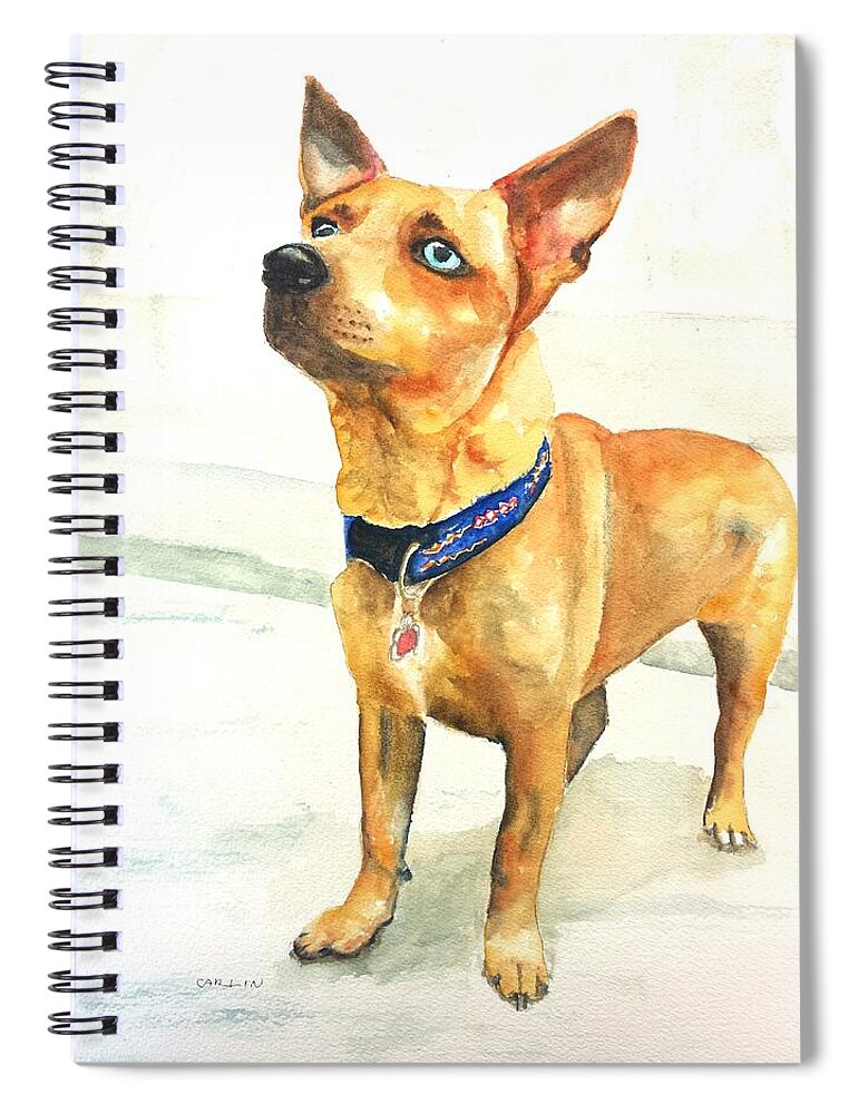 Dog Spiral Notebook featuring the painting Small short hair brown dog by Carlin Blahnik CarlinArtWatercolor