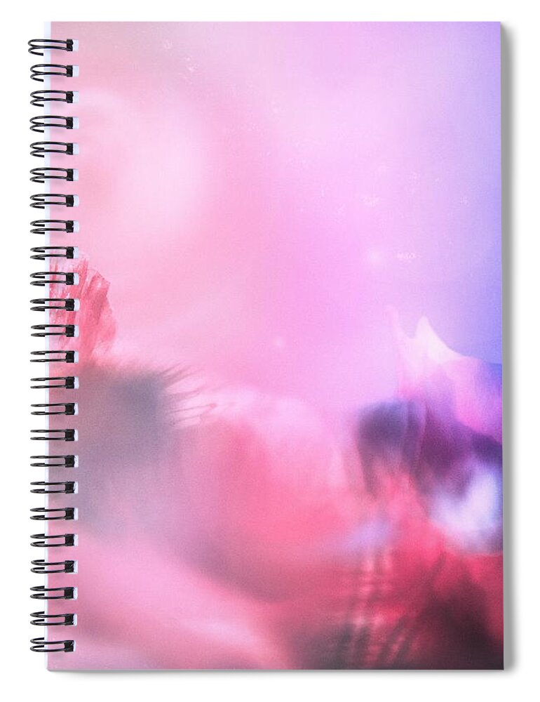 Poppy Spiral Notebook featuring the photograph Smell of Poppy by Jaroslav Buna