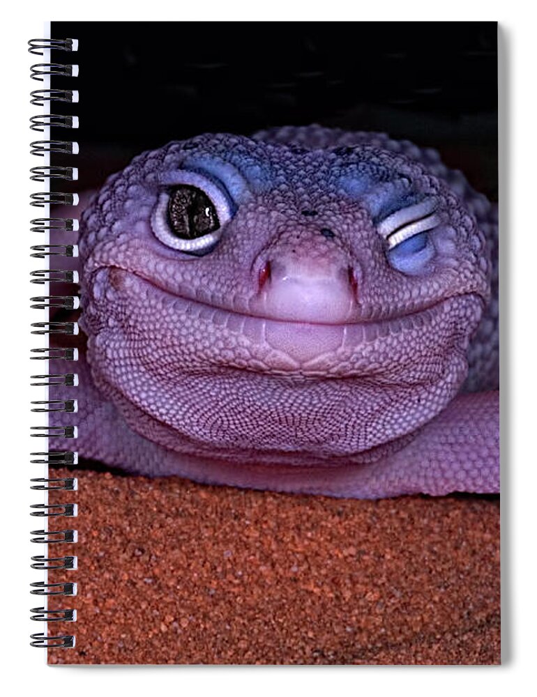 Gecko Spiral Notebook featuring the photograph Smile Wink Wink - Leopard Gecko by Mitch Spence