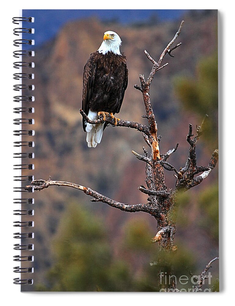Eagle Spiral Notebook featuring the photograph Smith Rock Lookout by Adam Jewell