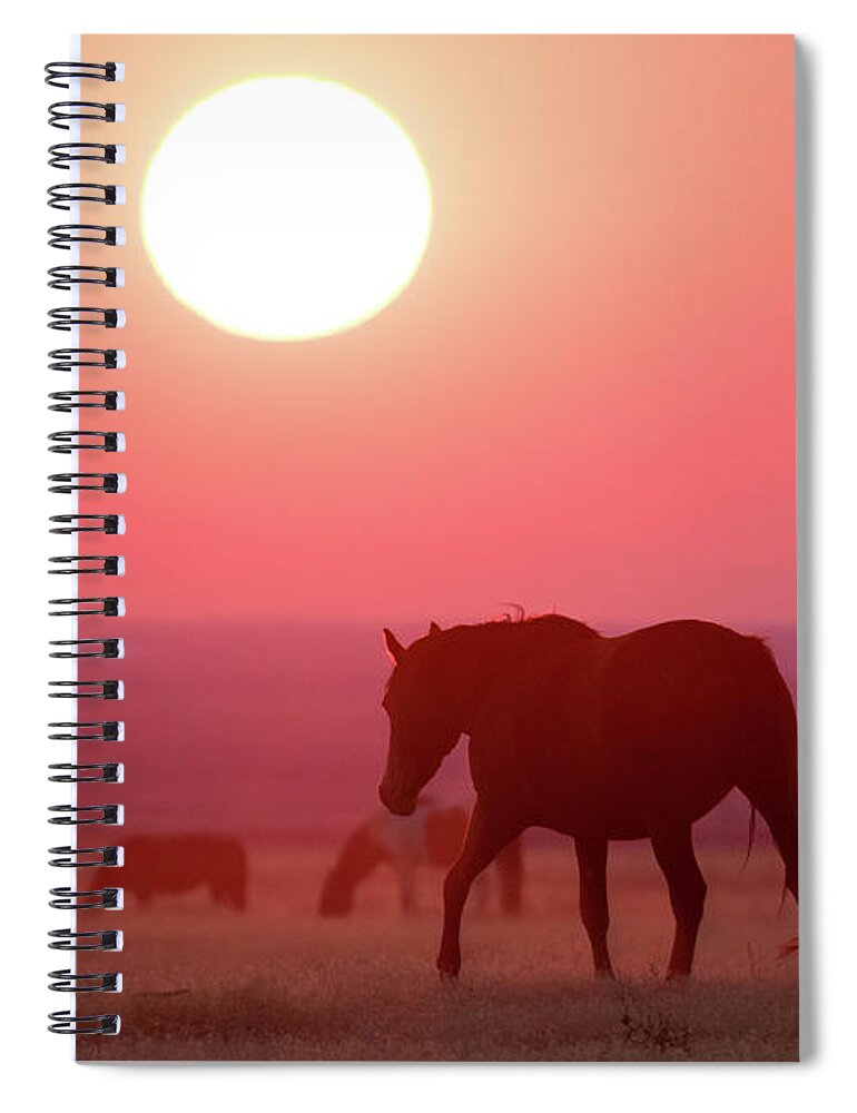 Smokey Spiral Notebook featuring the photograph Smokey Horse Landscape by Wesley Aston