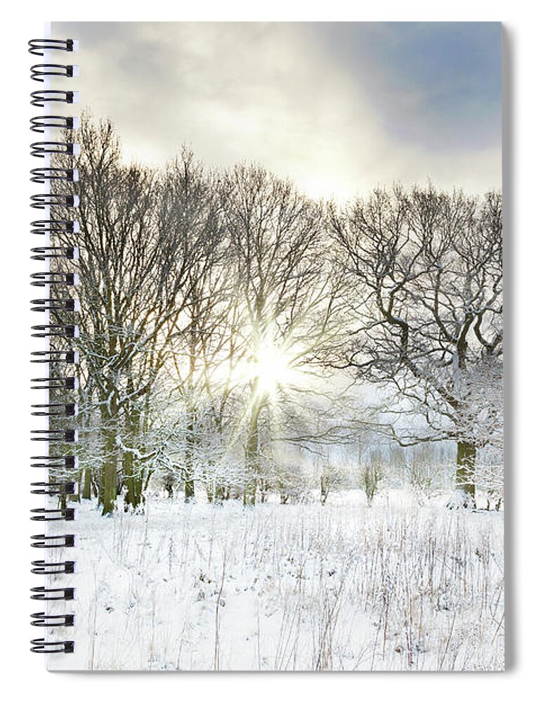 Snow Spiral Notebook featuring the photograph Snow covered rural trees with early morning sunrise by Simon Bratt