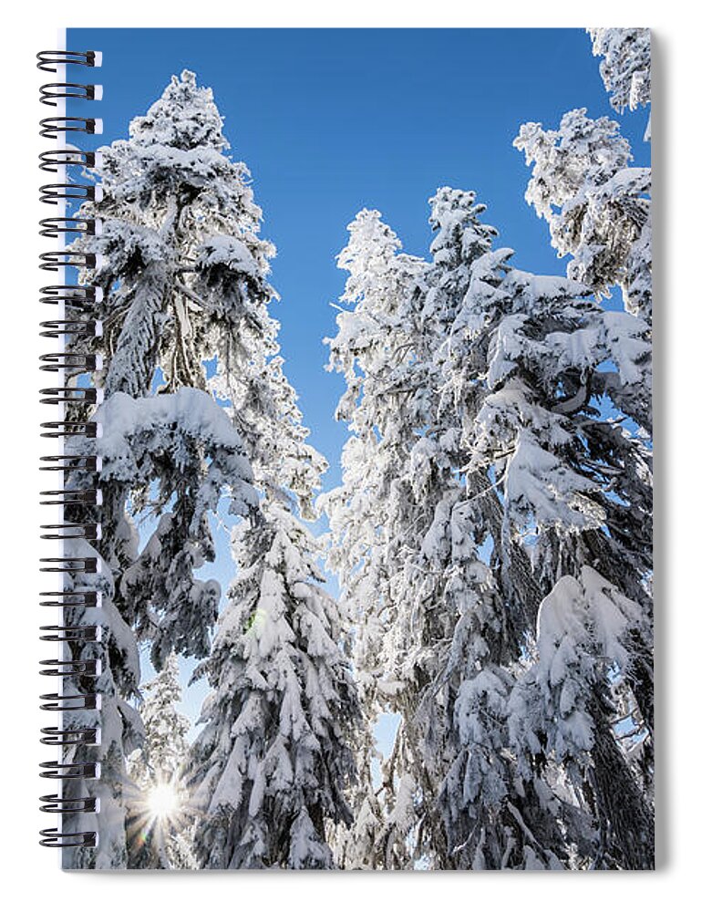Tree Spiral Notebook featuring the photograph Snow Covered Trees 3 by Pelo Blanco Photo