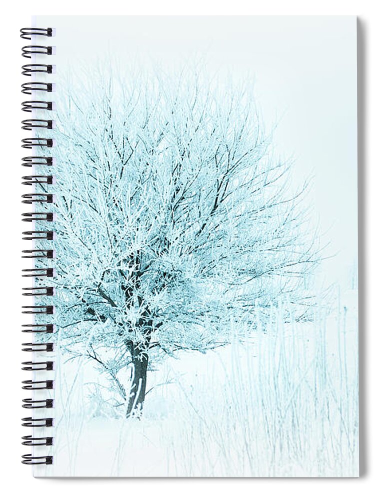 Winter Spiral Notebook featuring the photograph Snow Field Tree by Troy Stapek