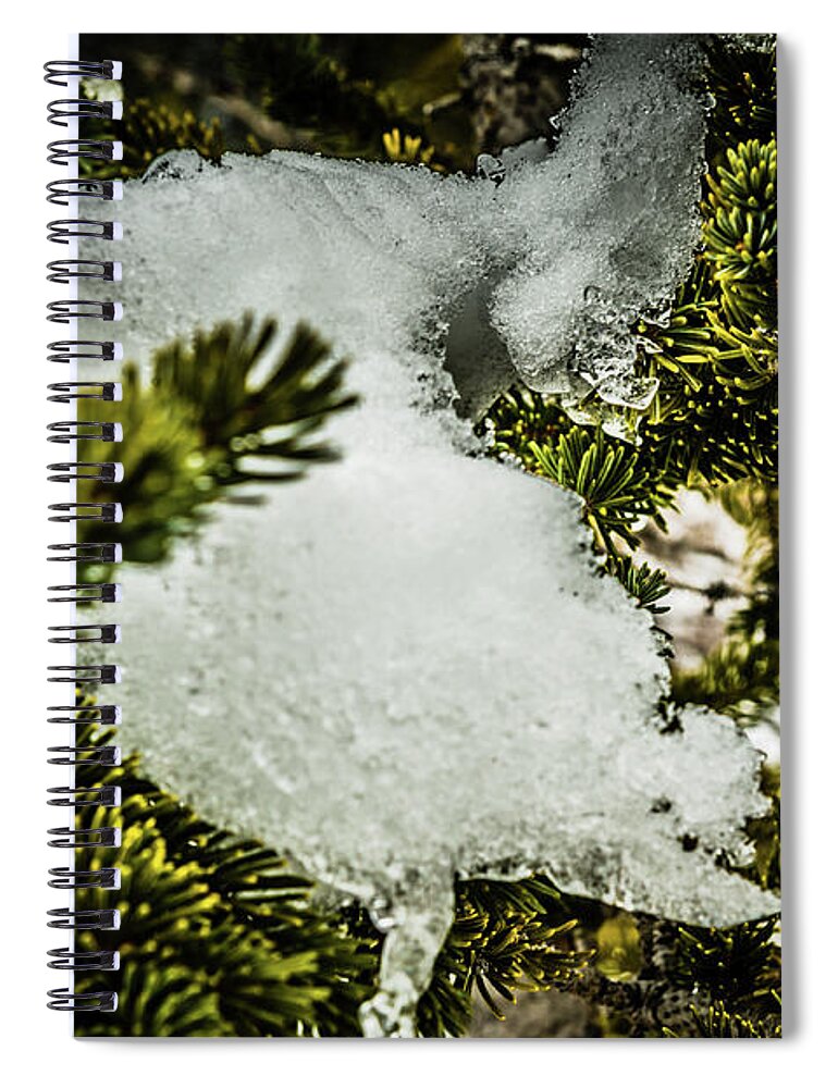  Spiral Notebook featuring the photograph Snow in the trees by Bill Howard