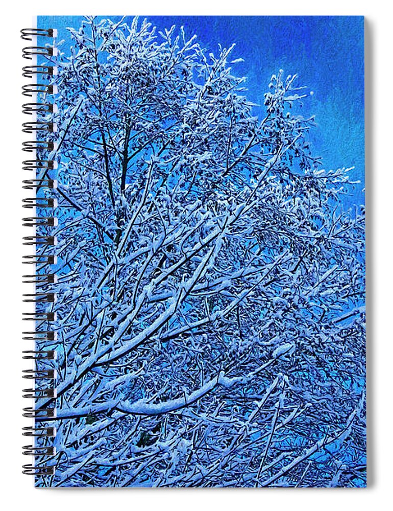 Snow On Branches Photo Art Spiral Notebook featuring the photograph Snow on Branches Photo Art by Sharon Talson