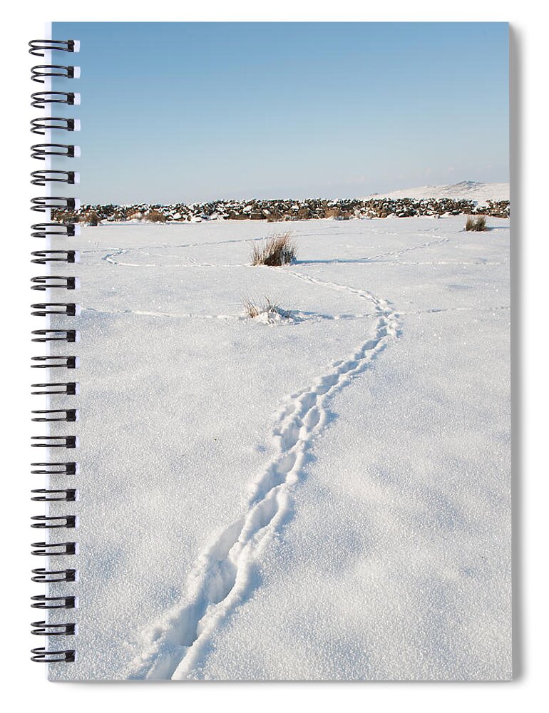 Winter Spiral Notebook featuring the photograph Snow Tracks by Helen Jackson