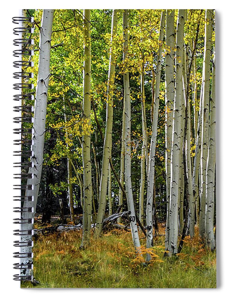 Trees Spiral Notebook featuring the photograph Snowbowl Aspens by David Meznarich