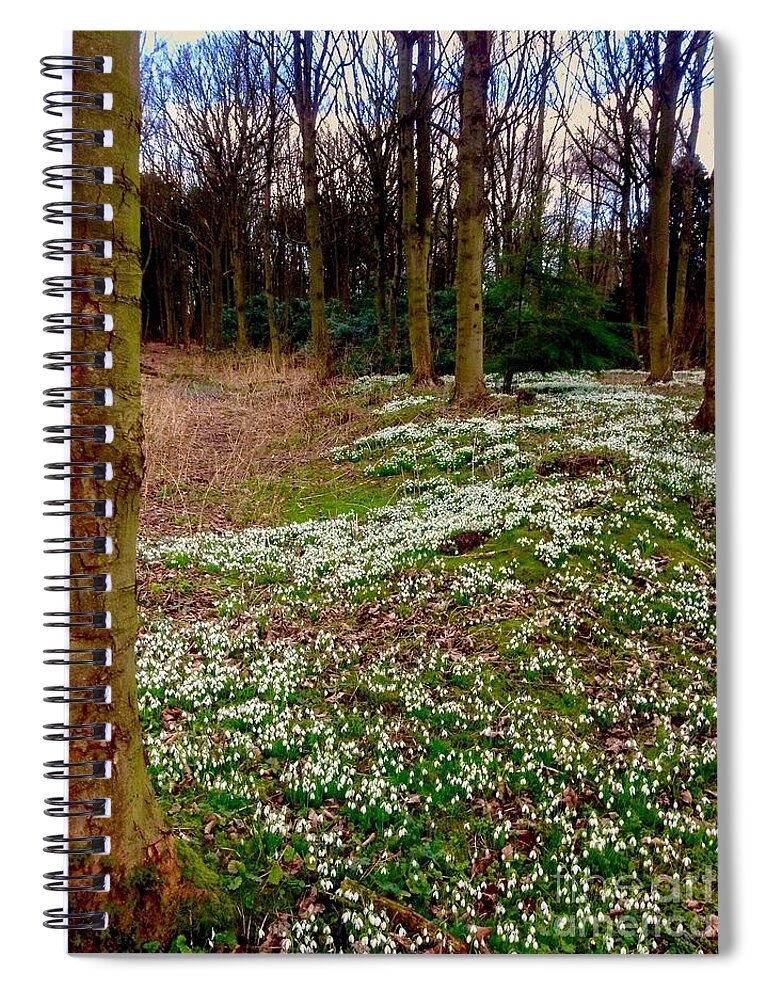 Snowdrops Spiral Notebook featuring the photograph Snowdrop Woods by Joan-Violet Stretch