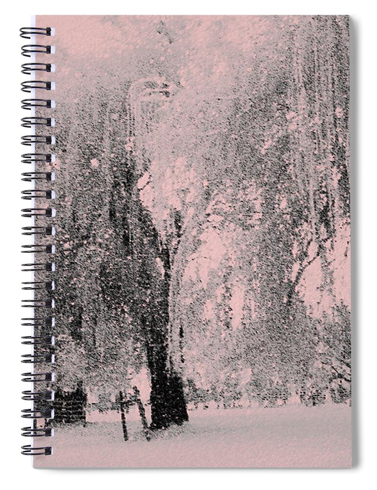 Snowy Sunday Spiral Notebook featuring the photograph Snowing again by Julie Lueders 