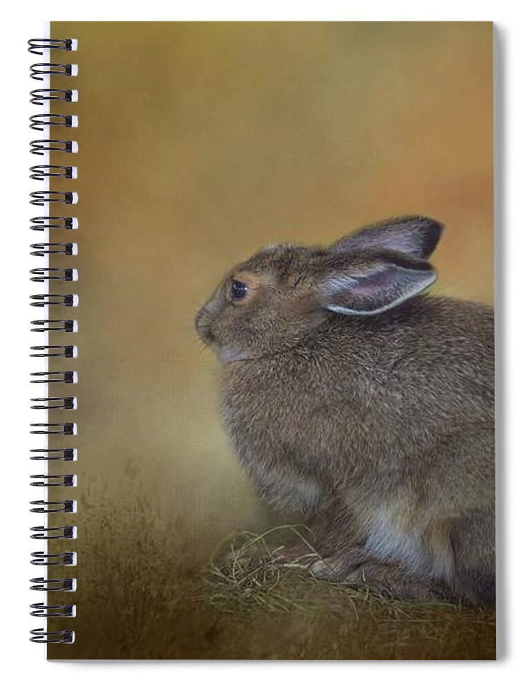 Snowshoe Hare Spiral Notebook featuring the photograph Snowshoe Hare by Eva Lechner