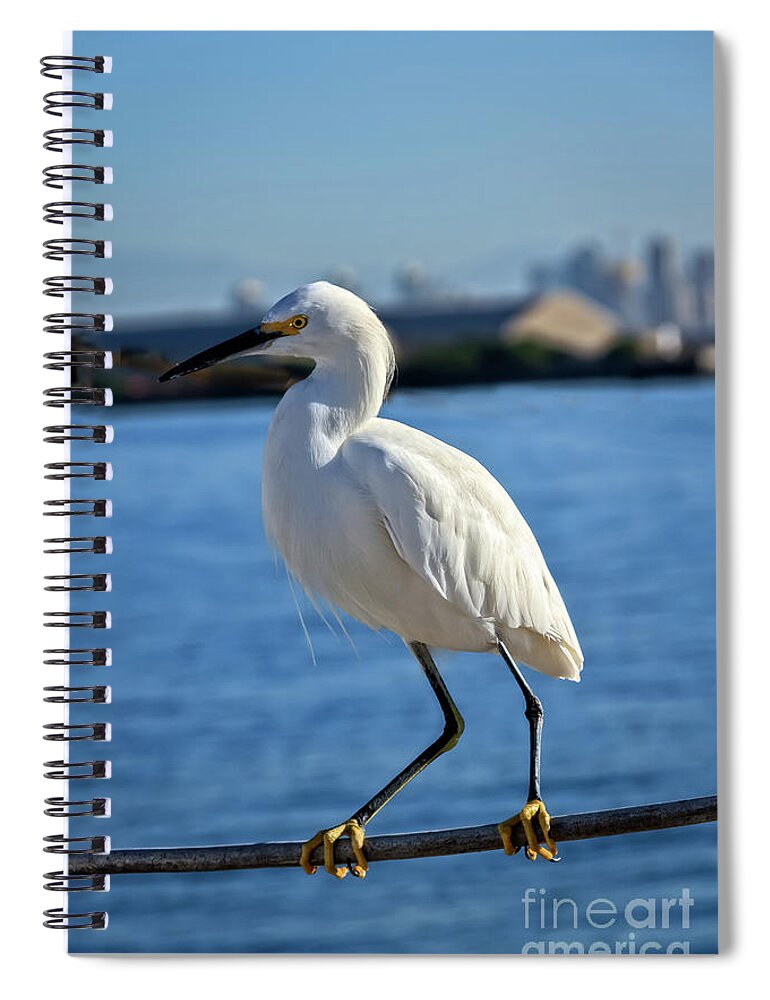 White Spiral Notebook featuring the photograph Snowy Egret Portrait by Robert Bales
