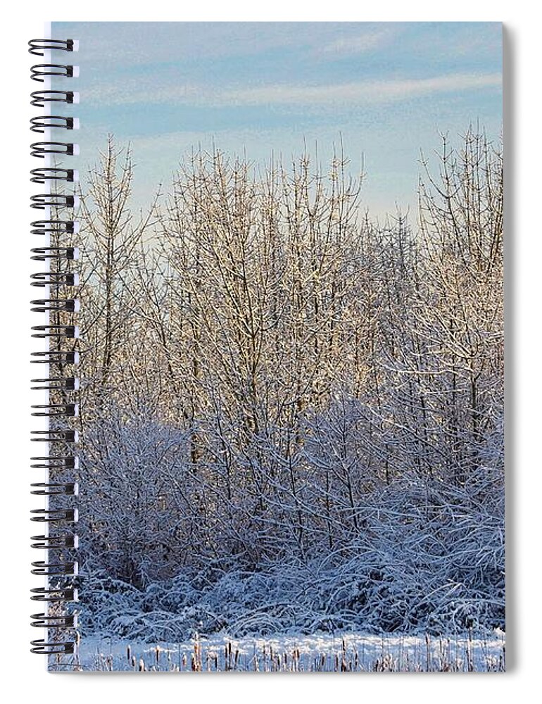 Snow Spiral Notebook featuring the photograph Snowy Morning by Brian Eberly