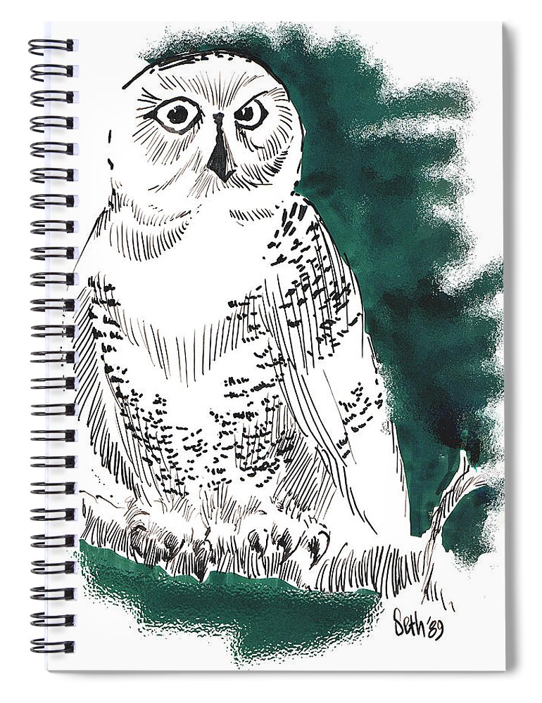Snowy Owl Ii Spiral Notebook featuring the drawing Snowy Owl II by Seth Weaver