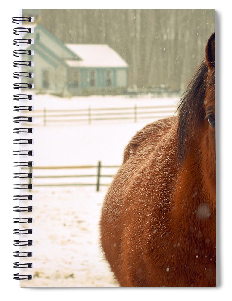 Horse Spiral Notebook featuring the photograph Horse #1 by Marysue Ryan