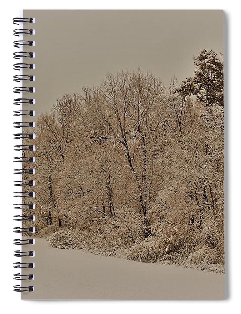 Trees Spiral Notebook featuring the photograph Snowy White Limbs with Zeke filter by Ali Baucom