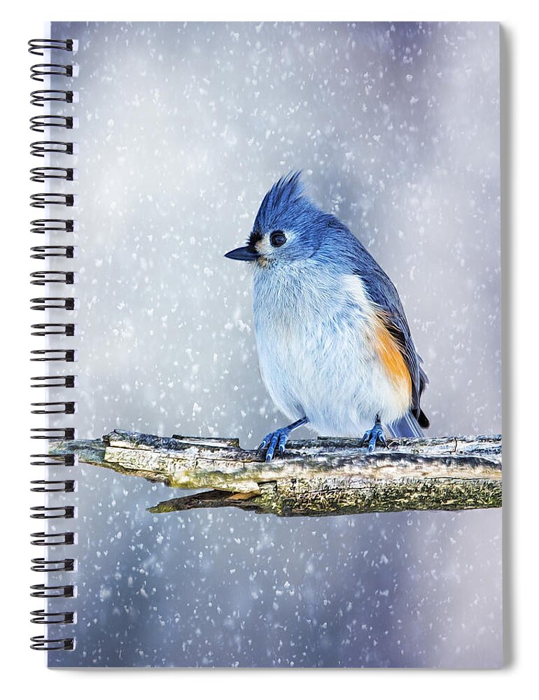 Baeolophus Spiral Notebook featuring the photograph Snowy Winter Titmouse by Bill and Linda Tiepelman