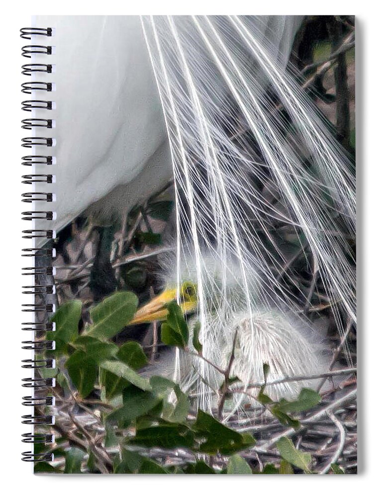 susan Molnar Spiral Notebook featuring the photograph So Safe With Mom 2 by Susan Molnar