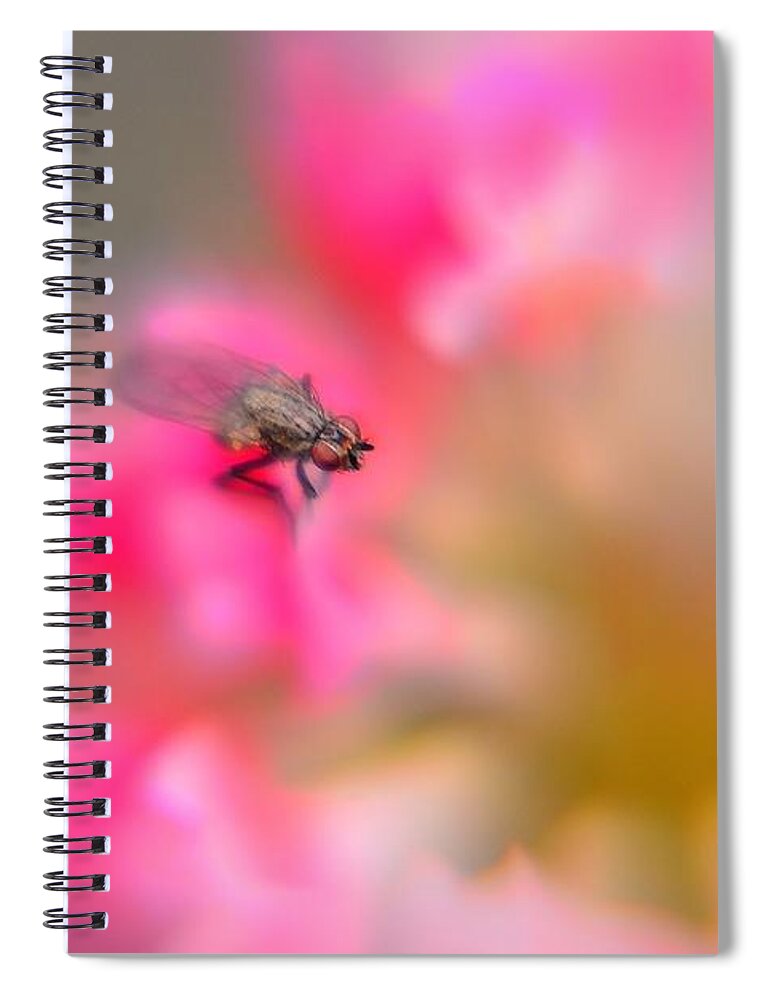Tyny Fly Spiral Notebook featuring the photograph So Tiny by Elaine Berger