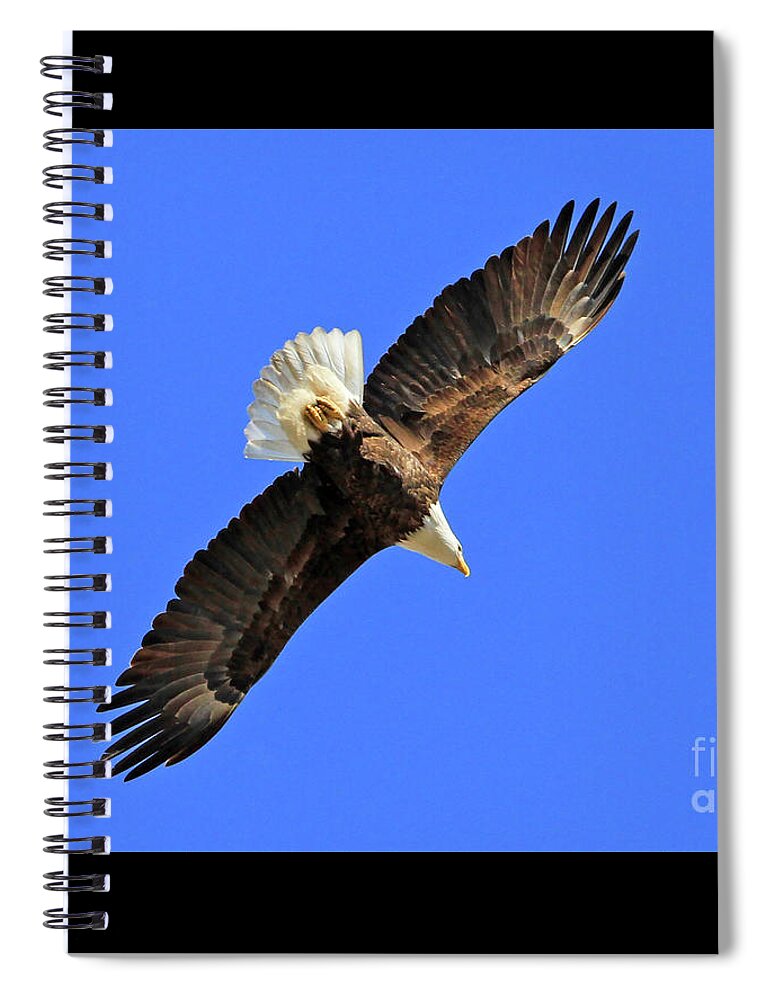 Blue Spiral Notebook featuring the photograph Soaring into the Blue by Paula Guttilla