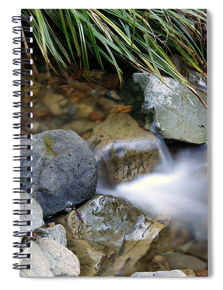 California Spiral Notebook featuring the photograph Soft Creek on Tam #1 by Ben Upham III