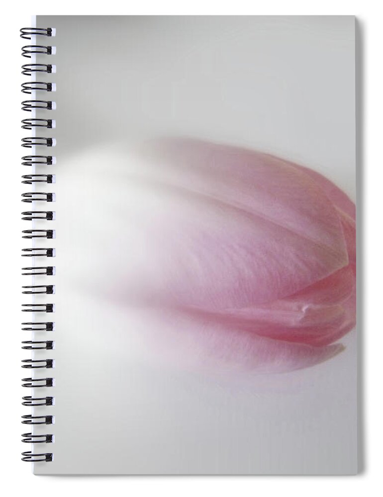 Tulip Spiral Notebook featuring the photograph Soft Focus Tulip by Lynn Bolt